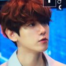 프링헤어 이미지