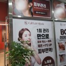 셀랩스테틱피부리페어