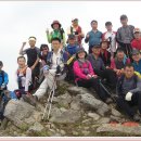 대운주유소 이미지