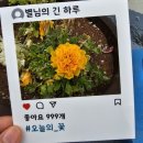 잎새토퍼 네이버블로그
