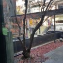 사평대로20길 12-3 이미지