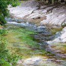 경기도 수원시 영통구 권선로 이미지