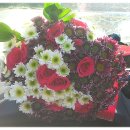 명덕초교 이미지