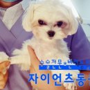 오 동물병원 이미지