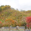 홍천해당화 | 강원도 홍천 가족펜션 추천 해당화펜션