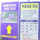 I PURPLE YOU. 신안 퍼플섬 후기. S1025까페