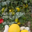 함께이음협동조합