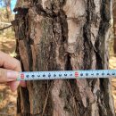 진곡산단1번로R | ■교육자료 1-1번: 광주 토지거래허가구역 내의 임야...요령 안내(광주미래자동차국가산단 + 산정지구)