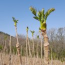 원순농장 이미지