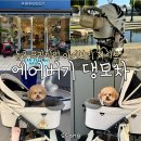 pet37너4060 | AIRBUGGY 에어버기 댕모차 개모차 돔3 프리미엄 아이보리 화이트L 일본 후쿠오카 직접 구매 후기