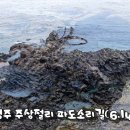 양남주상절리길+감포해파랑길(6.14) 이미지