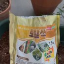 토탈안전 이미지