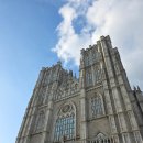 The Encore | 2025 포레스텔라 ENCORE 콘서트 THE WAVE - 서울 후기