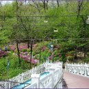 중랑천육교 이미지