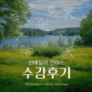 크리에이티브비 | [공지] [비스쿨 후기] 비전공자도 진짜 전문가로 거듭나는 성장 기록