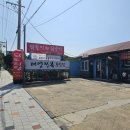 닭돌이와닭순이 이미지