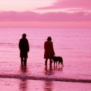 서브마린 이미지