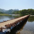 판운쉼터 | 강원도 영월 가볼만한곳 장마철엔 사라지는 섶다리 주차 입장료