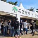 아우르다 헤럴드경제
