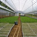 우리농장 이미지