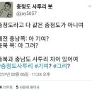 충청도 사투리 이미지