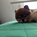 견살롱 이미지