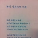 루미 이미지