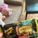 호텔소하2 | 3일차(진주만 미주리호 투어/와이키키 미피/쉐이브아이스/호놀룰루쿠키/힐튼불꽃놀이/스틱아시아/소하리빙)