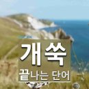 약쑥 종류: 개쑥 개똥쑥 인진쑥 강화사자말쑥 (말린 쑥차, 쑥가루, 환) 이미지