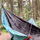 호명산잣나무숲캠핑장 이미지