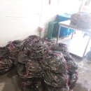 군산유통 이미지