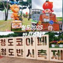 청도군보건소 | 청도반시축제 2025 방문 후기 (주차장 먹거리 볼거리)