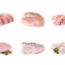 춘천원조닭갈비 이미지