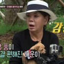 해피댕댕이 이미지