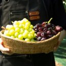 흙내음농장 이미지