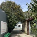 풀베개 제주여행 : 제주 서귀포 카페, <b>풀</b><b>베개</b>