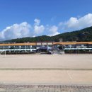 태안초등학교 이미지