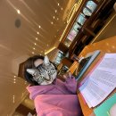 비전빌딩(구,석정빌딩) | ✨[KOICA 프로젝트 봉사단 5기] 면접전형 준비과정 / 합격 꿀팁 / 면접 당일 / 면접 실제 질문✨