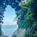 오동도 바람골 이미지