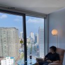 엘디스리젠트 이미지