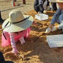 도자기, 흙과 불의 만남 | [워크숍] 새모양 토기, 드디어 불 위로! 흙과 불의 만남 - 노천소성