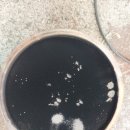 현대1급종합정비 이미지