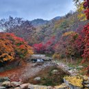 강천산군립공원(매표소) 이미지