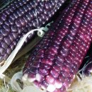 메디언스㈜ 이미지