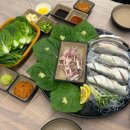 도안동로 | 대전도안동맛집 진수산 제철 전어회에 반한 세꼬시 전문점 후기