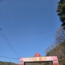 시나브로김밥신기점