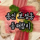 용인오마카세 보정동 동해참치 코스 후기