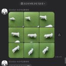 멍크라운 | 부산 대형 강아지 운동장 멍크라운 프리미엄 애견유치원
