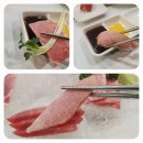 호조참치 이미지