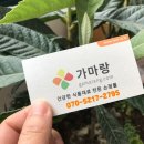 한국곡산 네이버블로그